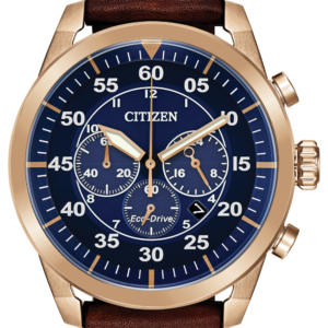 Men’s Citizen Eco-Drive Avion Watch